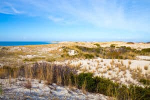 Sandy beaches of the Delaware Seashore State Park.
