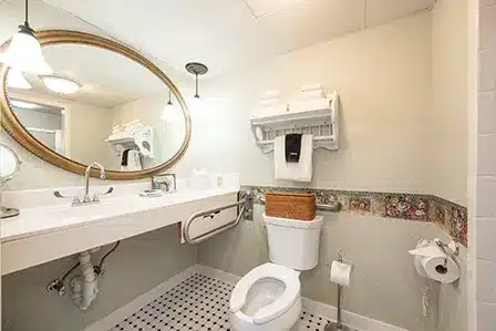 Accessible Standard Room HAND bathroom