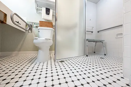 Accessible Standard Room HAND commode shower