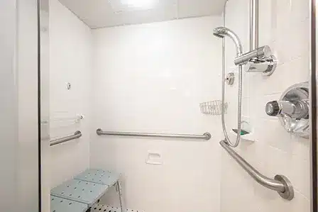 Accessible Standard Room HAND shower