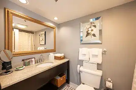 Apartment APT bath