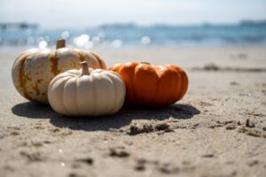 Explore the Fall Festivals on the Delaware Coast