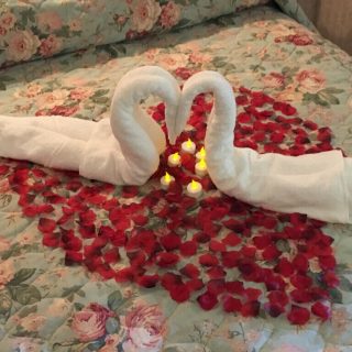 Honeymoon Bundle Swans